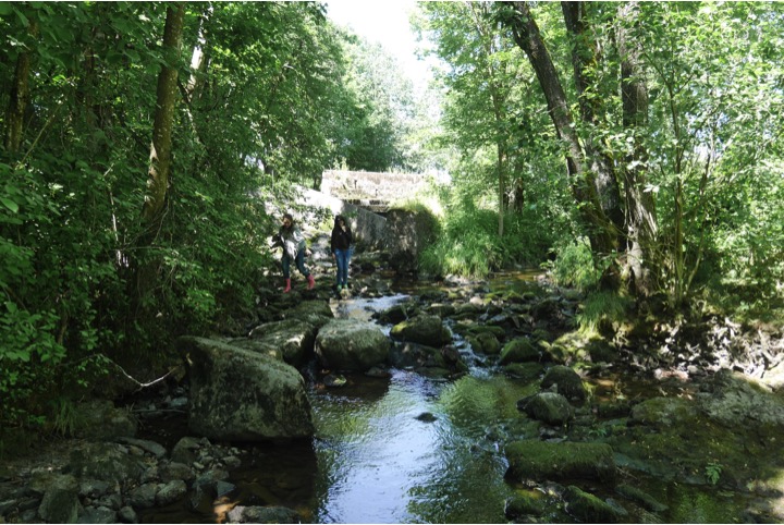 Ramnes-elven (Foto: Rainer Stange)